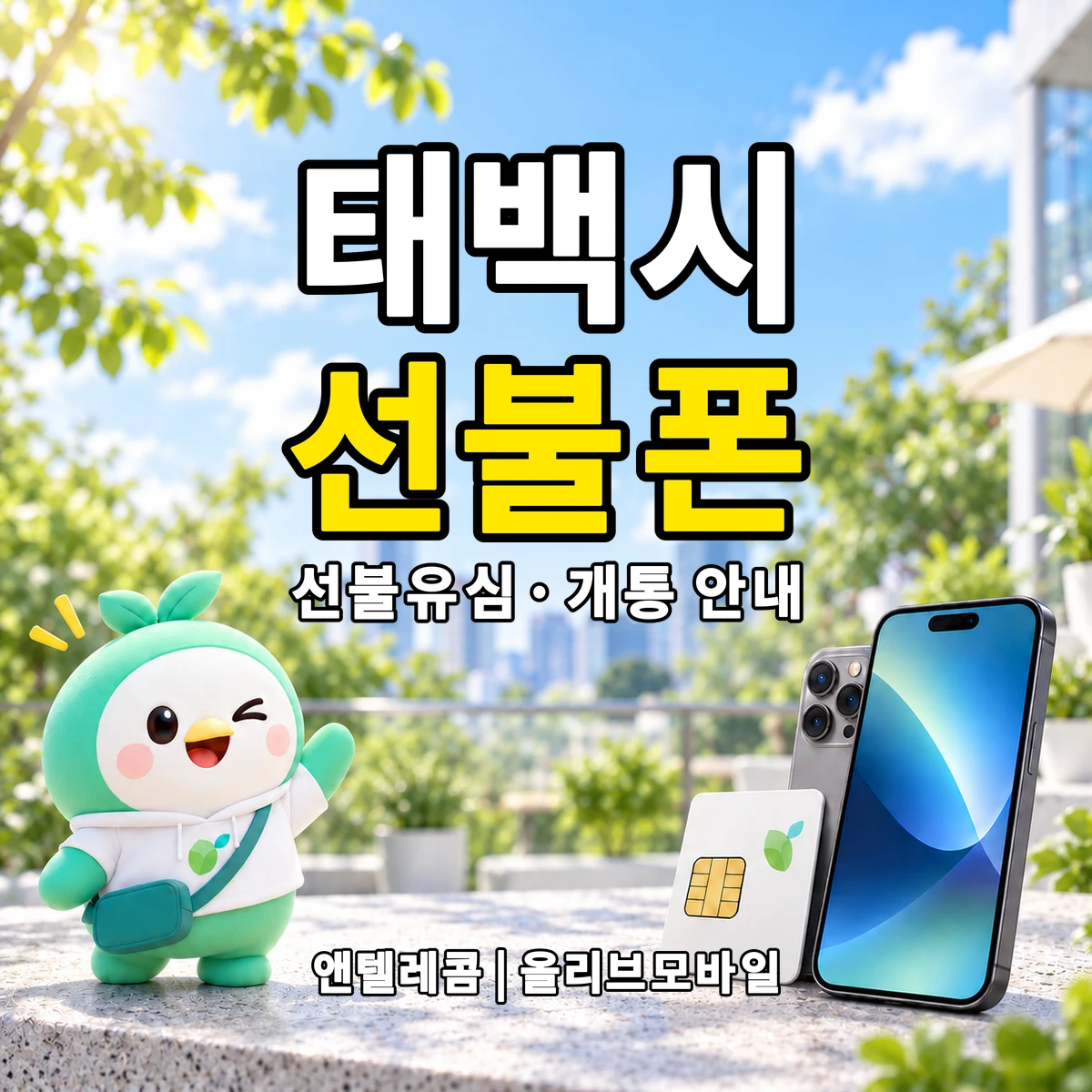 강원특별자치도 태백시 선불폰·선불유심 개통 안내 이미지